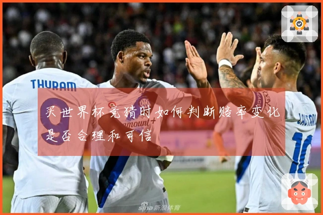 买世界杯竞猜时如何判断赔率变化是否合理和可信