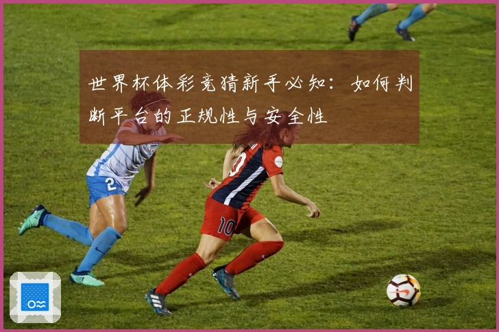 世界杯体彩竞猜新手必知：如何判断平台的正规性与安全性