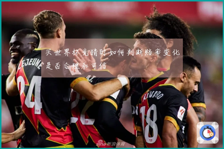 买世界杯竞猜时如何判断赔率变化是否合理和可信