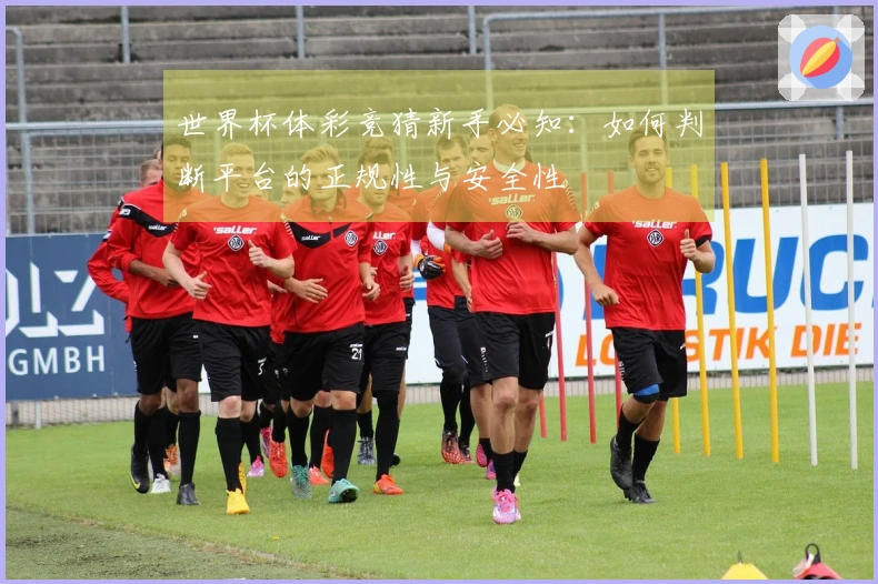 世界杯体彩竞猜新手必知：如何判断平台的正规性与安全性